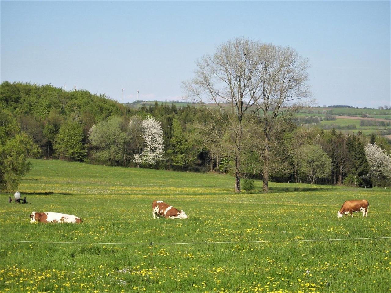 Apartmán Caecilienhof Birstein Exteriér fotografie